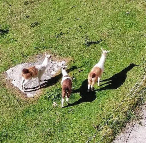Appartamento Chaleureux T2 Au Pied Des Pistes. Appt De 4 à 6 Personnes.