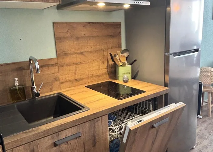 Chaleureux T2 Au Pied Des Pistes. Appt De 4 à 6 Personnes. Appartamento *