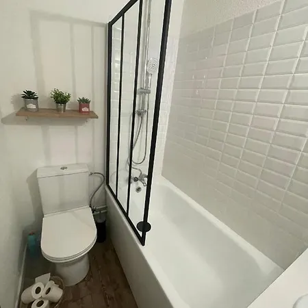 Chaleureux T2 Au Pied Des Pistes. Appt De 4 A 6 Personnes. * La Mongie