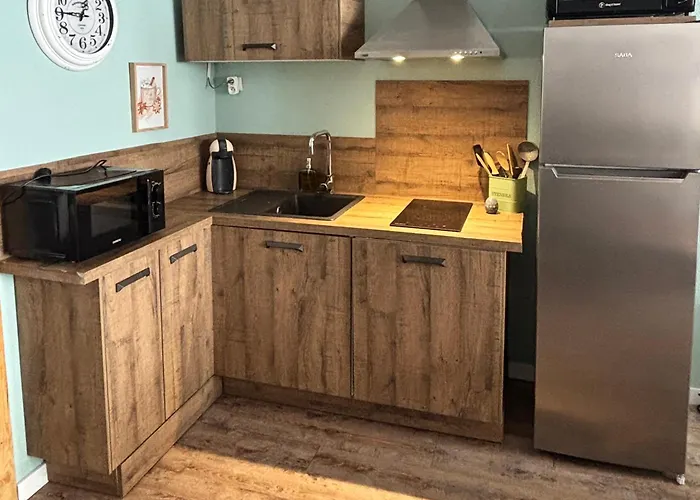 Chaleureux T2 Au Pied Des Pistes. Appt De 4 A 6 Personnes. *